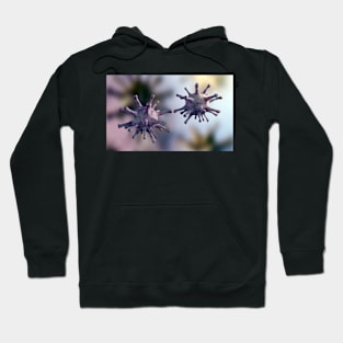 Two virus cells Hoodie